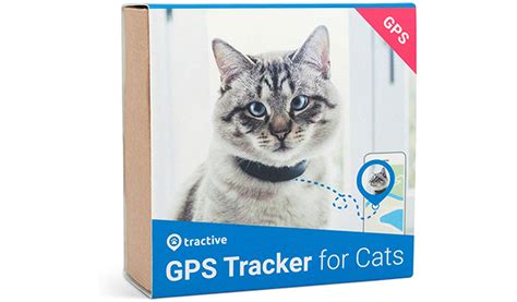 rfid cat tracker|best cat gps tracking device.